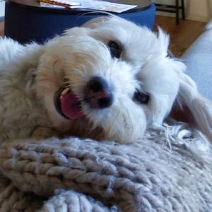 Meet your Posher, Jess